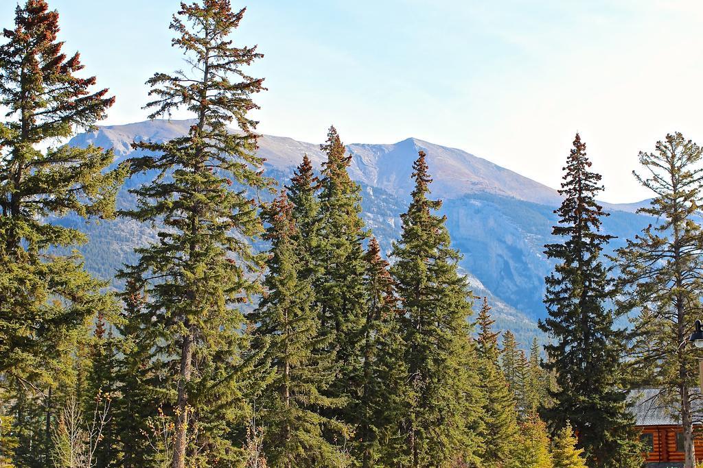 Luxury Canmore Vacations Bagian luar foto