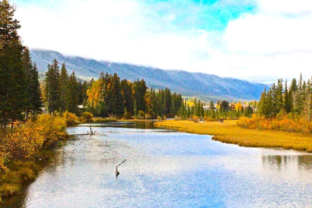 Luxury Canmore Vacations Bagian luar foto